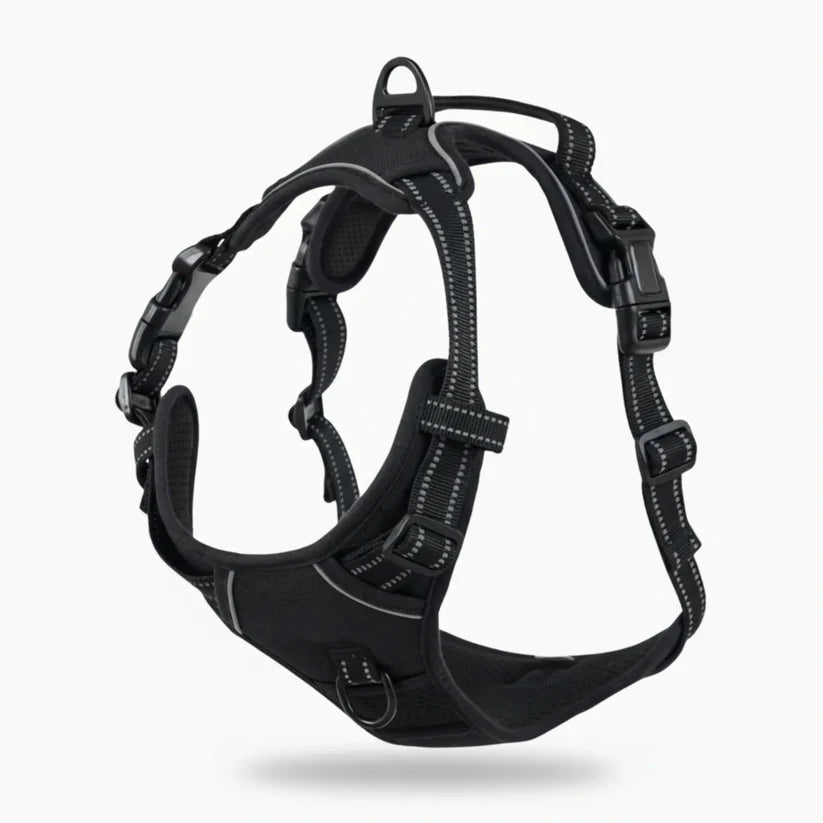 PASEOVA™ Arnés Antitirones