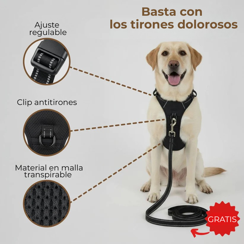 PASEOVA™ Arnés Antitirones