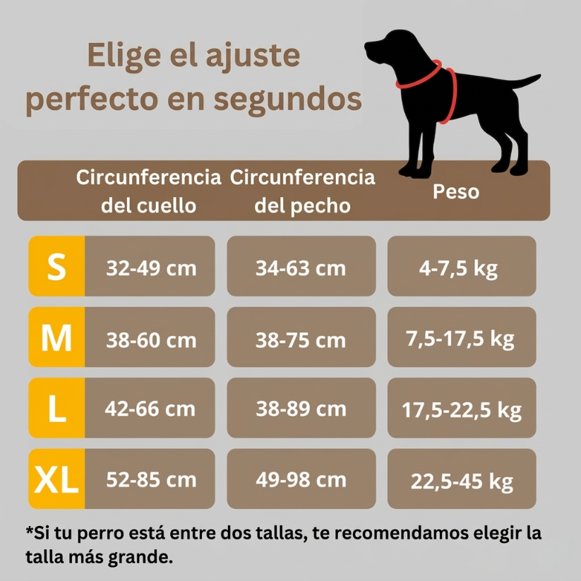 PASEOVA™ Arnés Antitirones