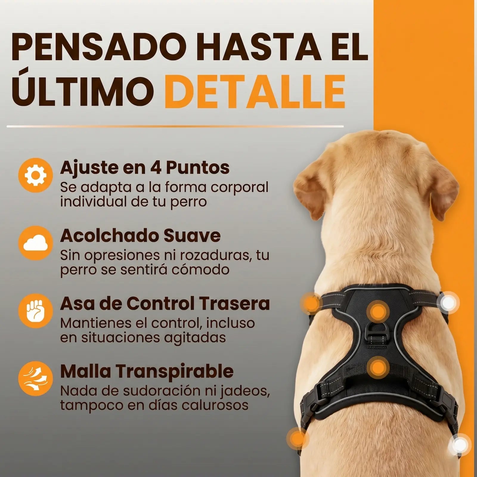 PASEOVA™ Arnés Antitirones