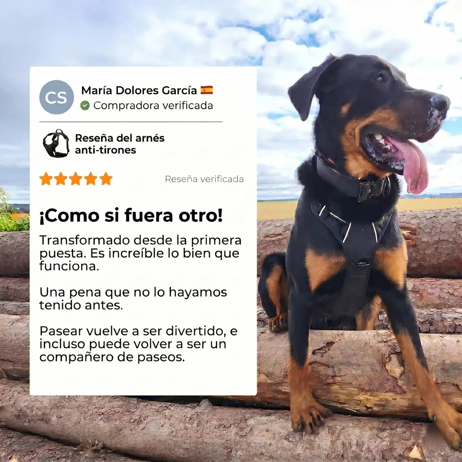 PASEOVA™ Arnés Antitirones