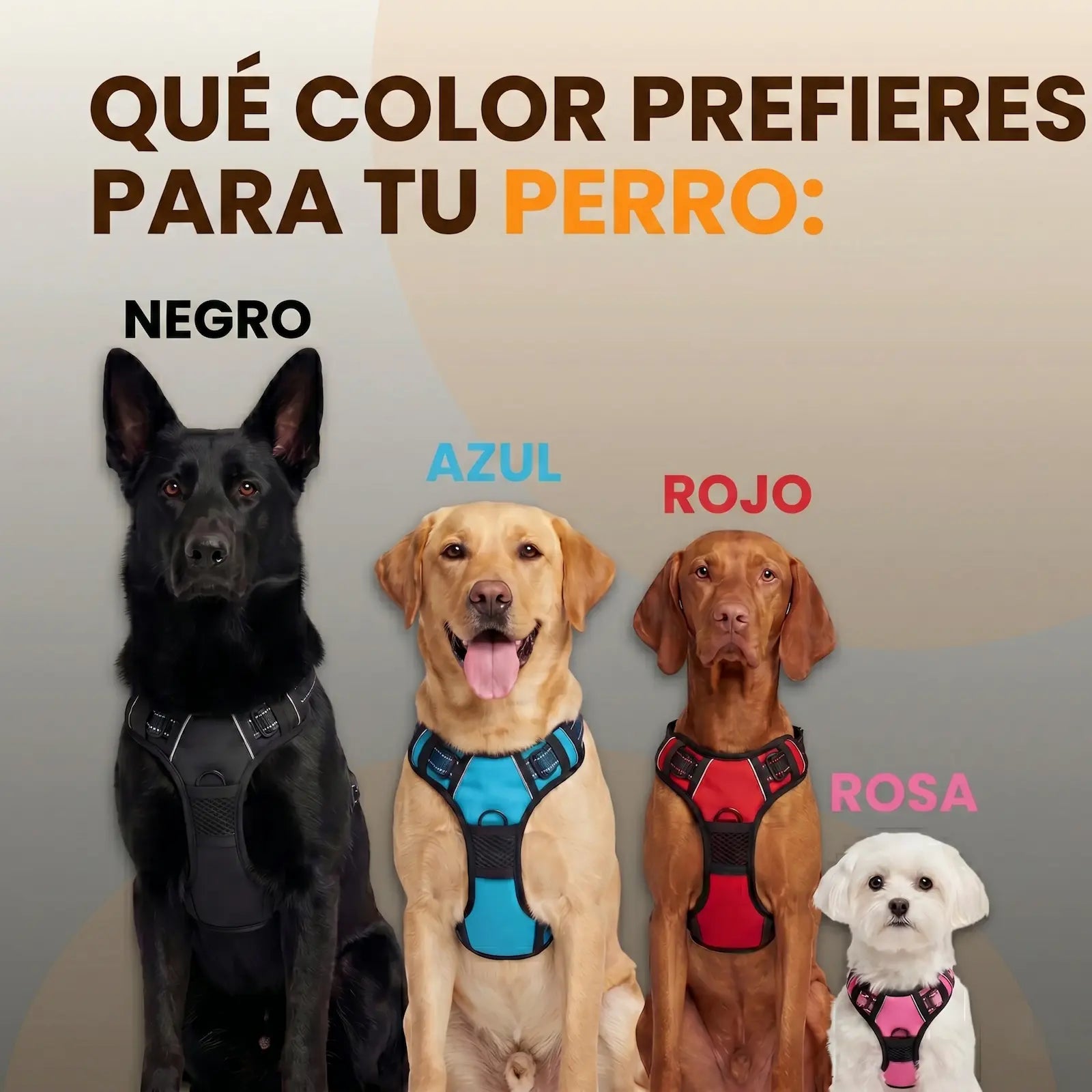PASEOVA™ Arnés Antitirones