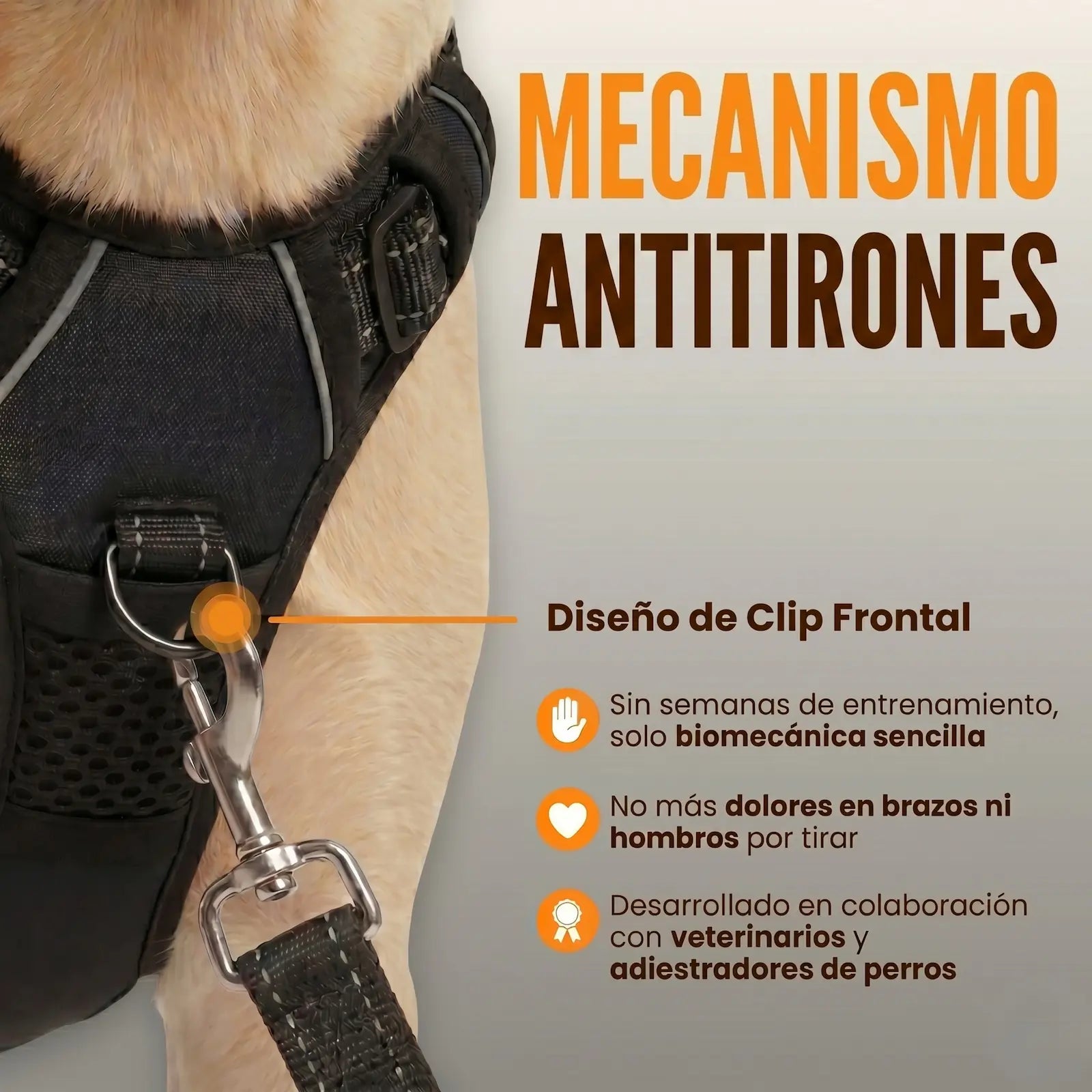 PASEOVA™ Arnés Antitirones