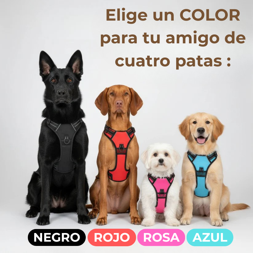 PASEOVA™ Arnés Antitirones