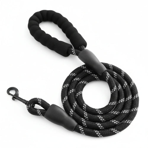 Correa premium PASEOVA™